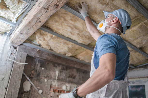 Best Insulation Installation Services in Pepeekeo, HI
