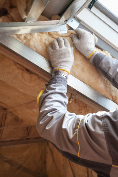 Best Insulation for Specific Applications in Pepeekeo, HI